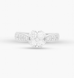 The Distinguished Ring